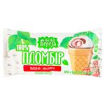 Морозиво Біла Береза Пломбір вишня-малина 100г
