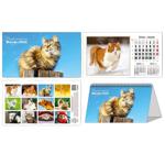 Календар Домашні улюбленці