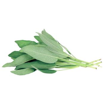 Sage 25g - buy, prices for - photo 1