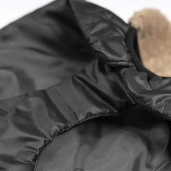 Pet Fashion Ted Horsecloth for Dogs s.ХS2 - buy, prices for MasterZoo - photo 3
