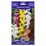 Golden Garden Terry Mallow Flower Seeds 0.2g