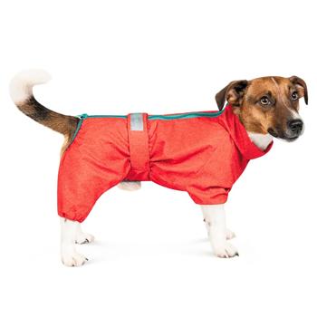 Pet Fashion Rain Raincoat for Dogs s.S Red - buy, prices for MasterZoo - photo 2