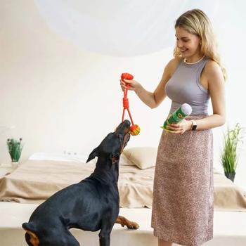 MasterZoo Party Box Set for Dogs of Large and Medium Breeds - buy, prices for - photo 5