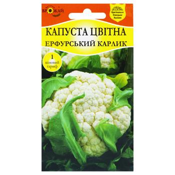 Насіння Багатий Врожай Капуста цвітна рання Ерфурський карлик 0,3г