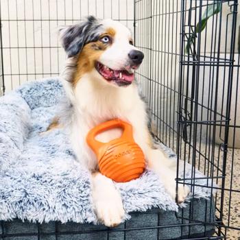 Doggi Catch & Carry Dumbbell Toy for Dogs 14.5x10.5x9.8cm - buy, prices for MasterZoo - photo 5