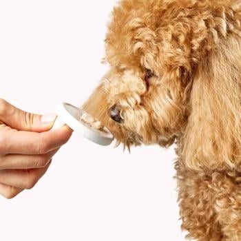 Ласощі для собак Delickcious Creamy Snack з яловичиною, сиром та спаржею 4шт*15г - купити, ціни на MasterZoo - фото 8