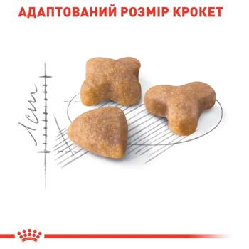 Royal Canin Sensible 33 Dry Food for Cats with Sensitive Digestion 3.2kg + 800g - buy, prices for MasterZoo - photo 3