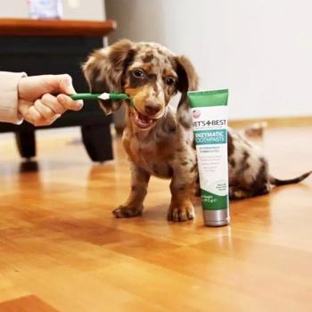 Vet's Best Enzymatic Toothpaste for Dogs 103ml - buy, prices for MasterZoo - photo 4