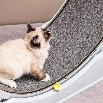 Колесо Lapka бігове для котів 86х27х80см - купити, ціни на MasterZoo - фото 5