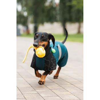 Combination Pet fashion - buy, prices for MasterZoo - photo 5