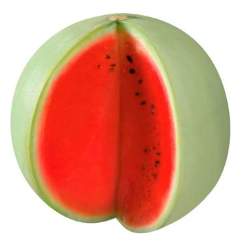 Snizhok Watermelon - buy, prices for - photo 1