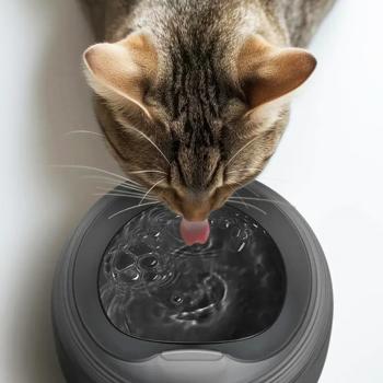 "collar company" llc 2500ml Ukraine - buy, prices for MasterZoo - photo 5