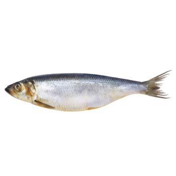 Danube Slightly Salted Herring - buy, prices for COSMOS - photo 1