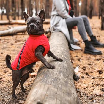 Pet Fashion E.Vest Vest for Dogs s.XS Red - buy, prices for MasterZoo - photo 6