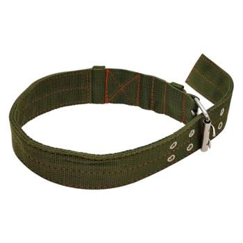 Dog  Collar 5.0*80cm