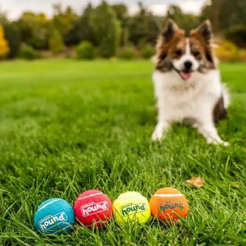Іграшка для собак Outward Hound Squeaker Ballz SM 5 см 4 шт - купити, ціни на MasterZoo - фото 3