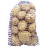 Vegetables potato Kalynivka 1000g Ukraine