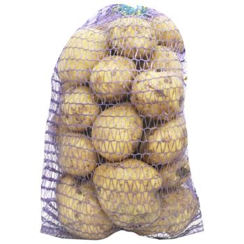 Картопля 1 кг ТМ КАЛИНІВКА-ПРЕМІУМ - купить, цены на Эпицентр FOOD - фото 1