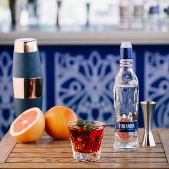 Finlandia Vodka Grapefruit 37.5% 1l - buy, prices for AlcoHub - photo 2