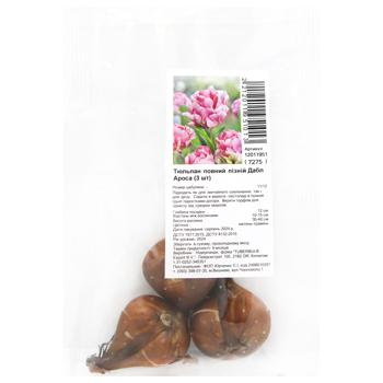 Full Late Double Aros Tulip Bulbs 3pcs - buy, prices for MegaMarket - photo 1