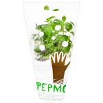 Fermove Fresh Mint in Pot 100g