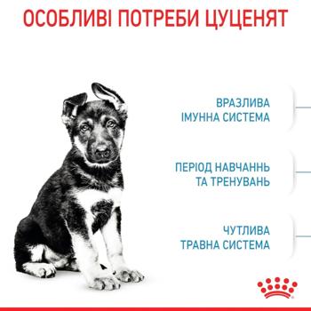 Royal Canin Maxi Puppy сухий корм для цуценят 12 кг - купить, цены на MasterZoo - фото 2