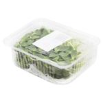 Sunflower Microgreen 50g