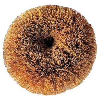 Скрабер Добра Господарочка з кокосового волокна для кухні 1шт - купити, ціни на За Раз - фото 2