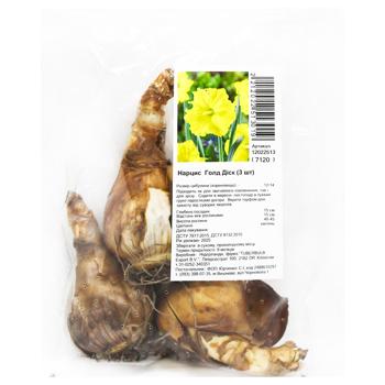 Цибулини нарциса Голд Діск 3шт - купити, ціни на За Раз - фото 1