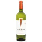 Wine sauvignon blanc Fin 9-13% 750ml Argentina