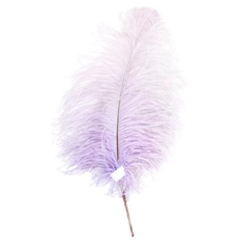 Ostrich Feathers 40-45cm 1pc in Assortment - buy, prices for COSMOS - photo 2