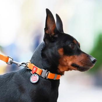 Waudog Waterproof Dog Collar with QR Passport 34-49cm/25mm Orange - buy, prices for MasterZoo - photo 2