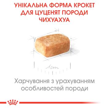 Корм сухий Royal Canin з домашньою птицею для цуценят породи чихуахуа 500г - купити, ціни на MasterZoo - фото 4