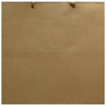 Cube Kraft Bag 34х34х34cm