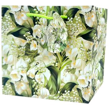 Пакет подарочный Art studio of Happines GB-24014 16х16х7см