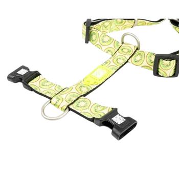 Leash Max and molly Germany - buy, prices for MasterZoo - photo 6
