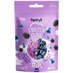 Panfruit Ice Cream Blueberry-Blackberry Sublimated Snack 20g