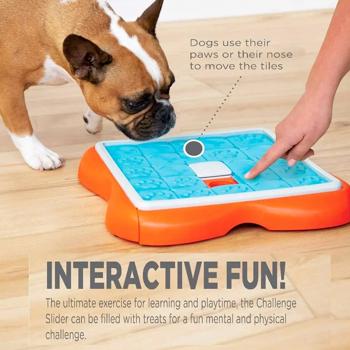 Nina Ottosson Challenge Slider Interactive Dog Toy 37x37x5cm - buy, prices for MasterZoo - photo 3