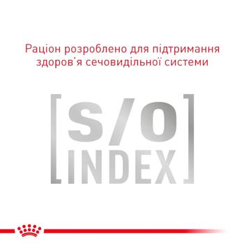 Корм сухой Royal Canin Skin & Coat для поддержания здоровья кожи у кошек 1,5кг - купить, цены на MasterZoo - фото 5
