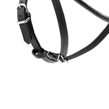 Hunter R&S Canadian UP Leather Dog Harness 50-56cm/18mm Black - buy, prices for MasterZoo - photo 3