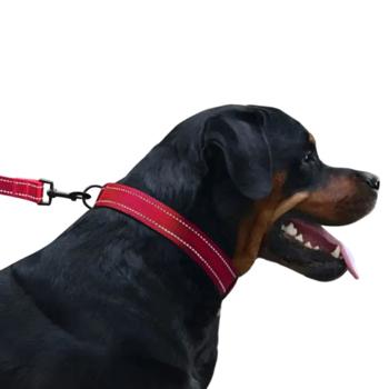 Barksi BronzeDog Active нейлоновий нашийник для собак S - червоний - купить, цены на MasterZoo - фото 5