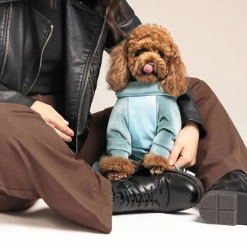 Pet Fashion Comfort Overalls for Dogs s.M - buy, prices for - photo 6