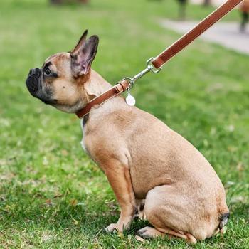 Waudog Soft Round Leather Leash 122cm / 18mm Brown Top - buy, prices for MasterZoo - photo 4