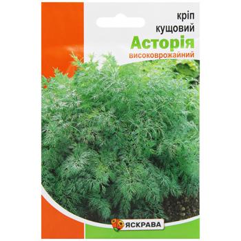 Yaskrava Astoria Bush Dill Seeds 20g