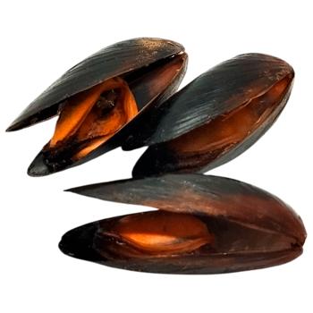 Мидии целые варено-мороженые в ракушке Мидии целые варено-мороженые в ракушке - купить, цены на - фото 1