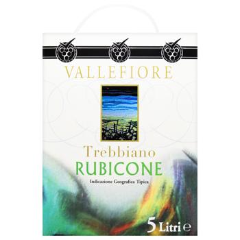 Vallefiore Trebbiano Rubicone White Dry Wine 11% 5l - buy, prices for METRO - photo 3