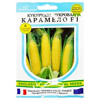 Rich Harvest Corn Sugar Caramel Seeds F1 20pcs