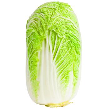 Metro Chef Peking Cabbage