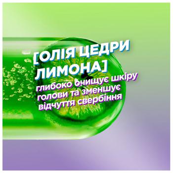 Шампунь для волосся Garnier Fructis Проти лупи очищувальний 250мл - купити, ціни на - фото 4