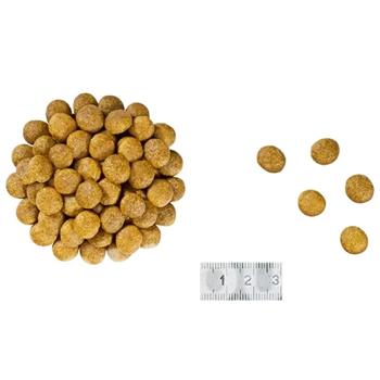 Cухий корм для котів Royal Canin Renal 2 кг + 400 г - купити, ціни на MasterZoo - фото 3
